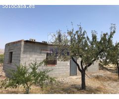 FINCA EN FORTUNA