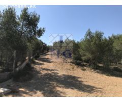 PARCELA RUSTICA