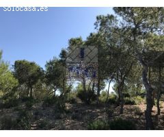 PARCELA RUSTICA