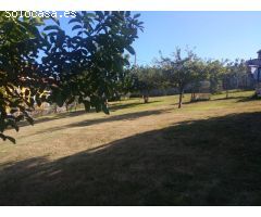 PROMOCION RAXO VARIAS VIVIENDAS 1,2,3 DORMITORIOS CON GARAJE Y BODEGA