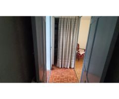 CATABOIS - CASA + FINCA