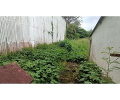CATABOIS - CASA + FINCA