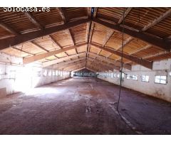1550 M2 DE NAVES EN FINCA AGRARIA EN VALDOVIÑO-OUTEIRO
