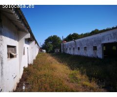 1550 M2 DE NAVES EN FINCA AGRARIA EN VALDOVIÑO-OUTEIRO