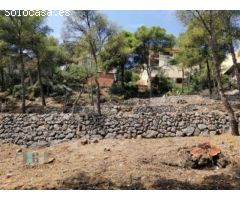 TERRENO EN VENTA EN URBANIZACIÓN MONTEMOLINO