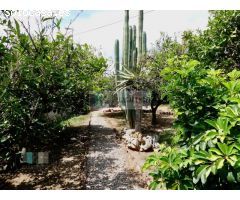 VILLA CON PARCELA DE 1600 M2 EN ZONA VORAMAR