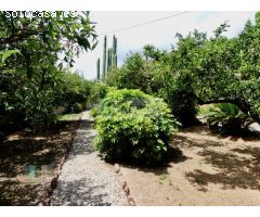 VILLA CON PARCELA DE 1600 M2 EN ZONA VORAMAR