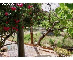 VILLA CON PARCELA DE 1600 M2 EN ZONA VORAMAR