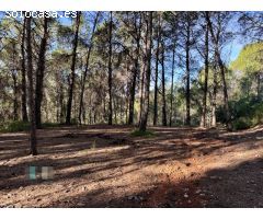 Venta de Parcela Industrial en primera línea de carretera A42, sentido