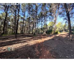 Venta de Parcela Industrial en primera línea de carretera A42, sentido