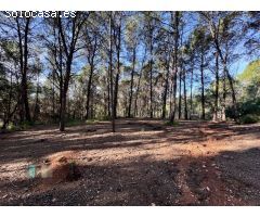 Venta de Parcela Industrial en primera línea de carretera A42, sentido