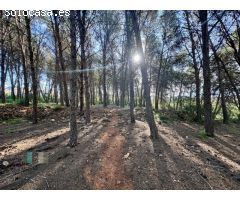Venta de Parcela Industrial en primera línea de carretera A42, sentido