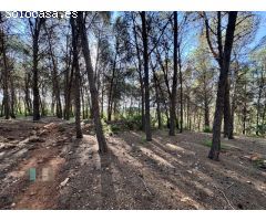 Venta de Parcela Industrial en primera línea de carretera A42, sentido