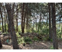 Venta de Parcela Industrial en primera línea de carretera A42, sentido