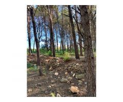 Venta de Parcela Industrial en primera línea de carretera A42, sentido