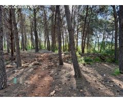 Venta de Parcela Industrial en primera línea de carretera A42, sentido