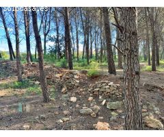 Venta de Parcela Industrial en primera línea de carretera A42, sentido