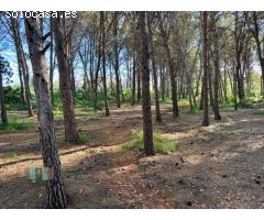 Venta de Parcela Industrial en primera línea de carretera A42, sentido