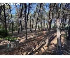 Venta de Parcela Industrial en primera línea de carretera A42, sentido