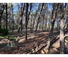 Venta de Parcela Industrial en primera línea de carretera A42, sentido