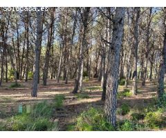 Venta de Parcela Industrial en primera línea de carretera A42, sentido