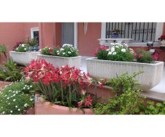CASAGENCIA INMOBILIARIA VENDE......VILLA INDEPENDIENTE CON PISCINA Y JARDIN EN