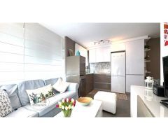 APARTAMENTO TOTALMENTE REFORMADO DE DOS HABITACIONES