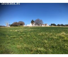 Finca agrícola en Tordera.