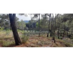 Excelente parcela de 1505 m2 en entorno natural. Vallado