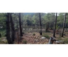 Excelente parcela de 1505 m2 en entorno natural. Vallado