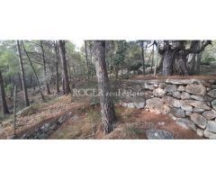 Excelente parcela de 1505 m2 en entorno natural. Vallado