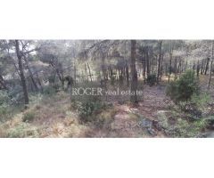 Excelente parcela de 1505 m2 en entorno natural. Vallado