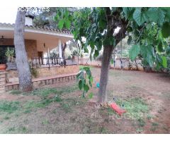Lujo europeo , Villa en 1 planta , amplia , sana y confortable ¡¡
