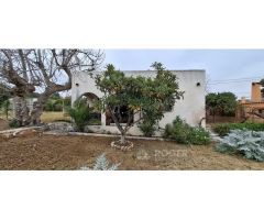 Chalet independiente en 1 planta en La Espuela