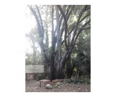 Magnífica masia a pies del Montseny