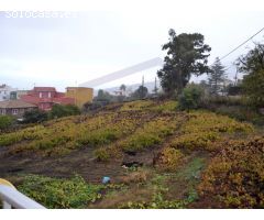 En venta Casa terrera con Finca en la Orotava. La Perdoma