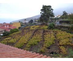 En venta Casa terrera con Finca en la Orotava. La Perdoma