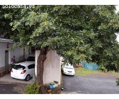 En venta Casa terrera con Finca en la Orotava. La Perdoma