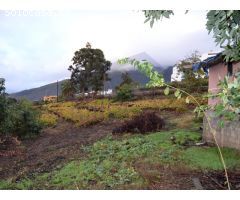En venta Casa terrera con Finca en la Orotava. La Perdoma