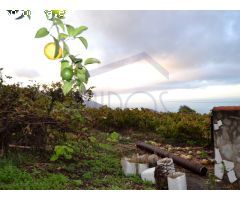 En venta Casa terrera con Finca en la Orotava. La Perdoma