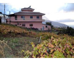 En venta Casa terrera con Finca en la Orotava. La Perdoma