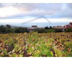 En venta Casa terrera con Finca en la Orotava. La Perdoma