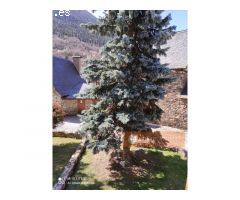 VENTA DE FANTASTICA CASA CON JARDIN DE GAROS.