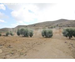LOTE FINCA 6.5 Ha + 2 VIVIENDAS + 1 Ha de AGUA. RAMONETE. REF 794