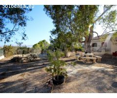 FINCA DE CAMPO CON CHALET, CASA ANTIGUA Y PLANTACION DE OLIVOS. REF 866