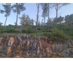VENDA PARCEL·LA EN OLIVELLA