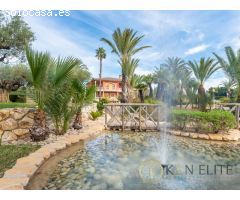Espectacular Finca en Elche
