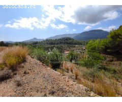 DOS PARCELAS EN MURLA - OPORTUNIDAD DE INVERSIÓN 14.755M2