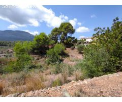 DOS PARCELAS EN MURLA - OPORTUNIDAD DE INVERSIÓN 14.755M2