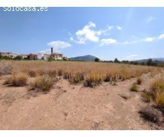 DOS PARCELAS EN MURLA - OPORTUNIDAD DE INVERSIÓN 14.755M2